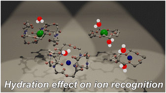Graphical abstract: Probing hydration-driven ion recognition using cryogenic ion trap infrared spectroscopy