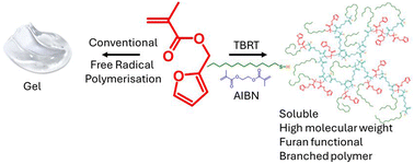 Graphical abstract: Investigating the synthesis, properties and Diels–Alder reactivity of diene-functional branched polyesters using copolymerisation of furfuryl methacrylate under transfer-dominated branching radical telomerisation (TBRT) conditions