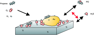 Graphical abstract: The role of water in the epoxidation over gold–titania catalysts