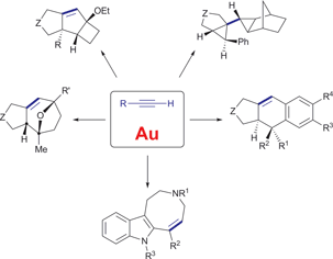 Graphical abstract: Molecular diversity through gold catalysis with alkynes