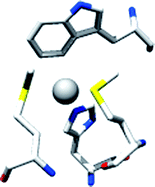 Graphical abstract: Chaperone-mediated copper handling in the periplasm