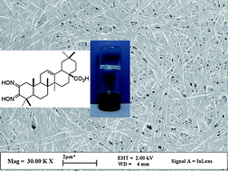 Graphical abstract: A simple oleanlic acid derivative as potent organogelator