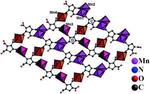 Graphical abstract: Enantiomers of conformation-flexible cyclopentane-1,2,3,4-tetracarboxylate in metal–organic frameworks