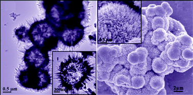 Graphical abstract: Self-assembly and synthesis mechanism of vanadium dioxide hollow microspheres