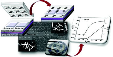 Graphical abstract: Self-regulating pseudo-monolayer printing of percolating networks of ZnO nanostructures for macroelectronics