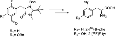 Graphical abstract: Enantiospecific synthesis of 2-[18F]fluoro-l-phenylalanine and 2-[18F]fluoro-l-tyrosine by isotopic exchange