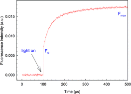 Graphical abstract: Early detection of mercury contamination by fluorescence induction of photosynthetic bacteria