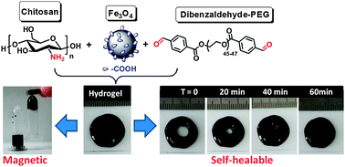 Graphical abstract: A magnetic self-healing hydrogel