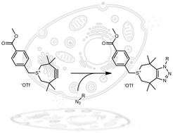 Graphical abstract: New tetramethylthiepinium (TMTI) for copper-free click chemistry