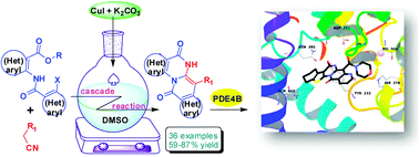 Graphical abstract: Facile assembly of two 6-membered fused N-heterocyclic rings: a rapid access to novel small molecules via Cu-mediated reaction