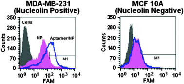 Graphical abstract: Targeting cancer cells with controlled release nanocapsules based on a single aptamer