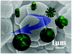Graphical abstract: Template-free microwave-assisted synthesis of ZnO hollow microspheres and their application in gas sensing