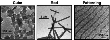 Graphical abstract: Photo- and electro-functional self-assembled architectures of porphyrins