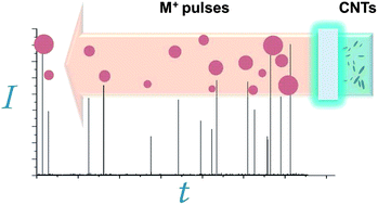 Graphical abstract: Detection of single walled carbon nanotubes by monitoring embedded metals