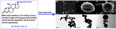Graphical abstract: Novel nano-materials, RGD-tetrapeptide-modified 17β-amino-11α-hydroxyandrost-1,4-diene-3-one: synthesis, self-assembly based nano-images and in vivo anti-osteoporosis evaluation