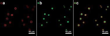 Graphical abstract: Porphyrin containing light-responsive capsules for controlled drug release
