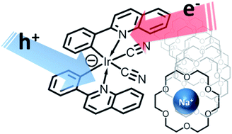 Graphical abstract: Anionic iridium complexes for solid state light-emitting electrochemical cells