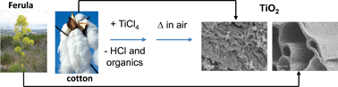 Graphical abstract: Non-hydrolytic synthesis of hierarchical TiO2 nanostructures using natural cellulosic materials as both oxygen donors and templates