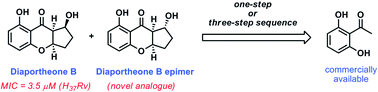 Graphical abstract: Antituberculosis agent diaportheone B: synthesis, absolute configuration assignment, and anti-TB activity of its analogues