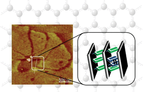 Graphical abstract: A covalently linked graphene-oligo(phenylenevinylene) adduct: self-organization and photo-physical properties