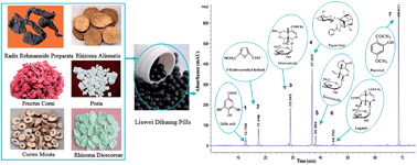 Graphical abstract: A simple HPLC method for simultaneous analysis of 7 bioactive constituents for Liuwei Dihuang Pill and its application in quality consistency evaluation