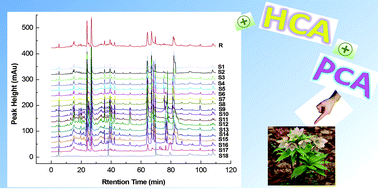 Graphical abstract: Chromatographic fingerprint coupled with hierarchical clustering analysis and principal component analysis for quality evaluation and original discrimination of rhizomes of Helleborus thibetanus Franch by HPLC-DAD