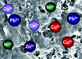 Graphical abstract: Graphene oxide as a solid sorbent for the preconcentration of cobalt, nickel, copper, zinc and lead prior to determination by energy-dispersive X-ray fluorescence spectrometry