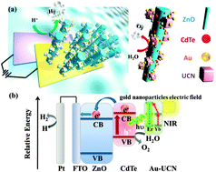 Graphical abstract: Plasmon-enhanced near-infrared-active materials in photoelectrochemical water splitting