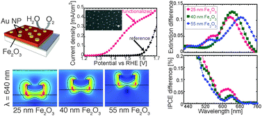Graphical abstract: On the mechanism for nanoplasmonic enhancement of photon to electron conversion in nanoparticle sensitized hematite films