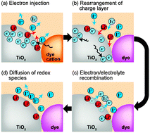 Graphical abstract: Detection of non-absorbing charge dynamics via refractive index change in dye-sensitized solar cells