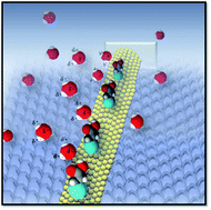 Graphical abstract: Probing the effect of surface chemistry on the electrical properties of ultrathin gold nanowire sensors