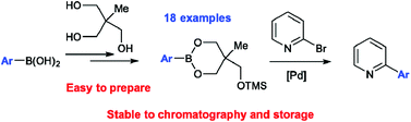 Graphical abstract: Silyl-protected dioxaborinanes: application in the Suzuki cross-coupling reaction
