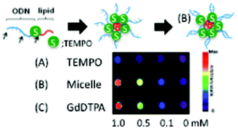 Graphical abstract: Unexpectedly large water-proton relaxivity of TEMPO incorporated into micelle-oligonucleotides