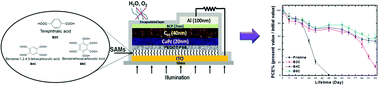 Graphical abstract: Marked improvement in the stability of small molecule organic photovoltaics by interfacial modification using self-assembled monolayers to prevent indium diffusion into the active layer