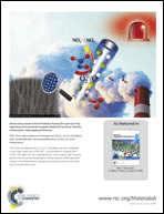 Graphical abstract: Inside back cover