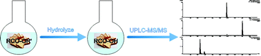 Graphical abstract: Determination of total maleic acid, fumaric acid, p-hydroxybenzoic acid and benzoic acid in food by ultra performance liquid chromatography-tandem mass spectrometry