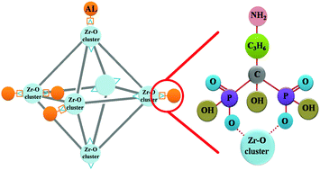 Graphical abstract: Inherent anchorages in UiO-66 nanoparticles for efficient capture of alendronate and its mediated release