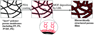 Graphical abstract: A polydopamine layer as the nucleation center of MOF deposition on “inert” polymer surfaces to fabricate hierarchically structured porous films