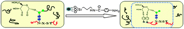 Graphical abstract: Highly specific enrichment of N-glycoproteome through a nonreductive amination reaction using Fe3O4@SiO2-aniline nanoparticles