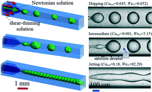 Graphical abstract: Breakup dynamics and dripping-to-jetting transition in a Newtonian/shear-thinning multiphase microsystem