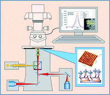 Graphical abstract: Imprinted gold 2D nanoarray for highly sensitive and convenient PSA detection via plasmon excited quantum dots