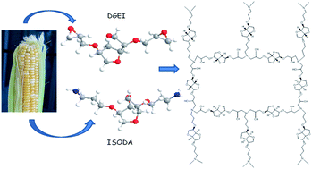 Graphical abstract: Advanced materials from corn: isosorbide-based epoxy resins
