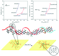 Graphical abstract: Highly sulfonated co-polyimides containing cross-linkable hydrophobic tetrafluorostyrol side-groups for proton exchange membranes
