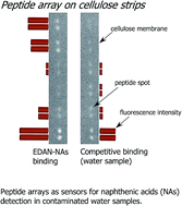 Graphical abstract: Peptide arrays for detecting naphthenic acids in oil sands process affected water