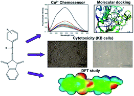 Graphical abstract: Twin applications of highly selective Cu2+ fluorescent chemosensor and cytotoxicity of 2-(2-phenylhydrazono)-1H-indene-1,3(2H)-dione and 2-(2-(4-methoxyphenyl)hydrazono)-1H-indene-1,3(2H)-dione: molecular docking and DFT studies