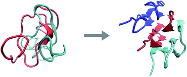 Graphical abstract: Prediction of the structure of a silk-like protein in oligomeric states using explicit and implicit solvent models