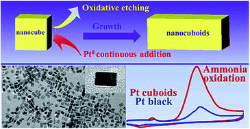 Graphical abstract: l-Lysine mediated synthesis of platinum nanocuboids and their electrocatalytic activity towards ammonia oxidation