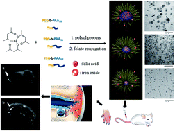 Graphical abstract: A rheumatoid arthritis magnetic resonance imaging contrast agent based on folic acid conjugated PEG-b-PAA@SPION