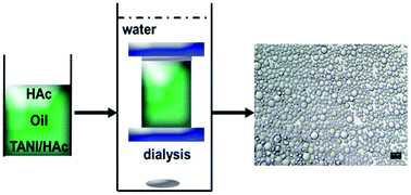 Graphical abstract: Self-assembly and pH response of electroactive liquid core–tetra(aniline) shell microcapsules