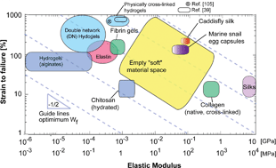 Graphical abstract: Biological materials and molecular biomimetics – filling up the empty soft materials space for tissue engineering applications